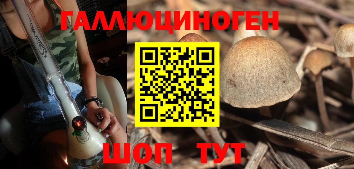 Псилоцибиновые грибы Cubensis  цена   Алатырь  Вход с VPN 